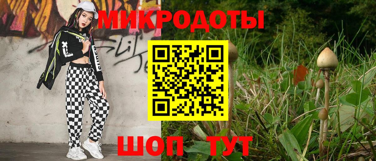 Дивногорск  Псилоцибиновые грибы прущие грибы  Вход с VPN  Галлюциногенные грибы Psilocybe 